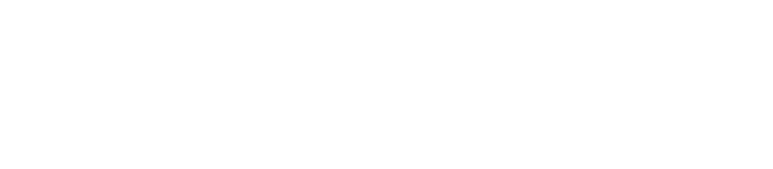 EasyAudit negatives Logo